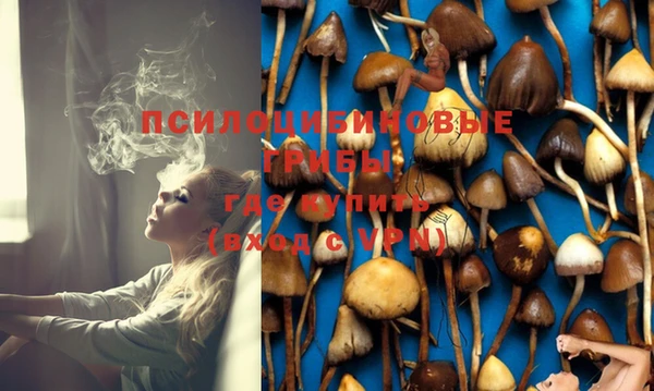 молекула духа Зерноград