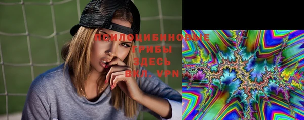 бошки Зеленокумск