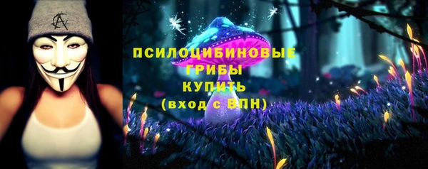 бошки Зеленокумск
